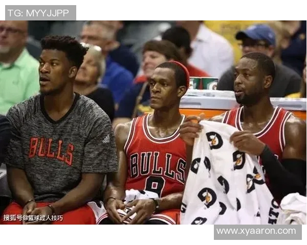 西安羽毛球队逆袭之路的真实记录与奋斗精神展现